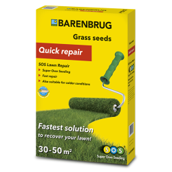 Barenbrug Super Over Seeding fmag 1kg