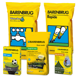   Barenbrug fmagok